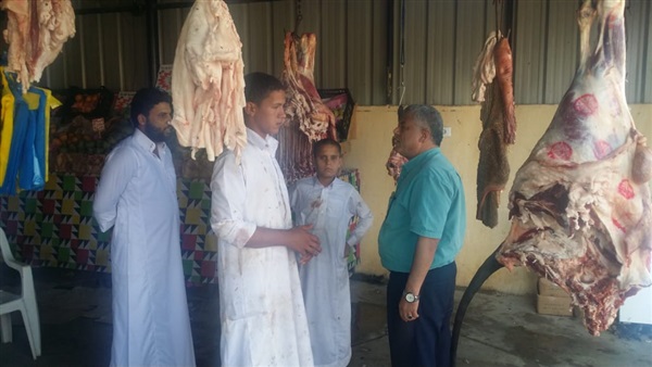 صدى العرب