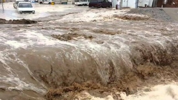 صدى العرب