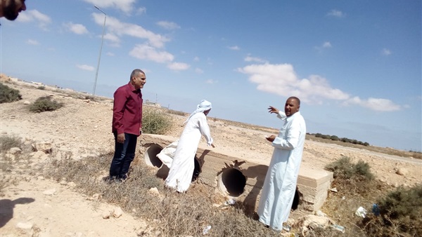 صدى العرب