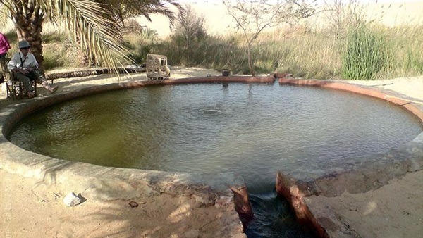 صدى العرب