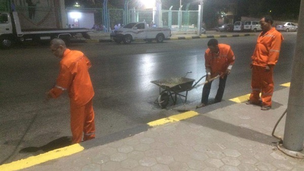 صدى العرب
