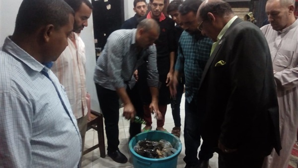 صدى العرب