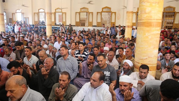 صدى العرب
