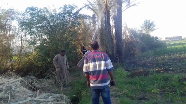 صدى العرب