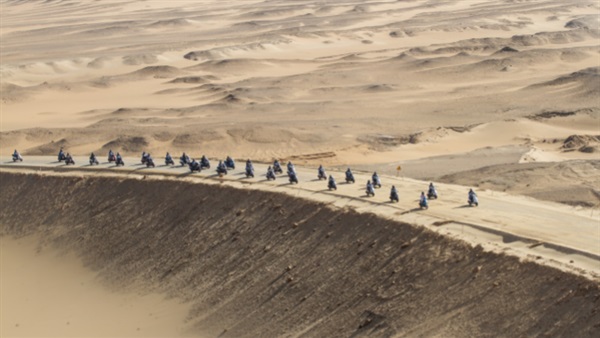 صدى العرب
