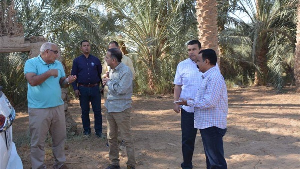 صدى العرب