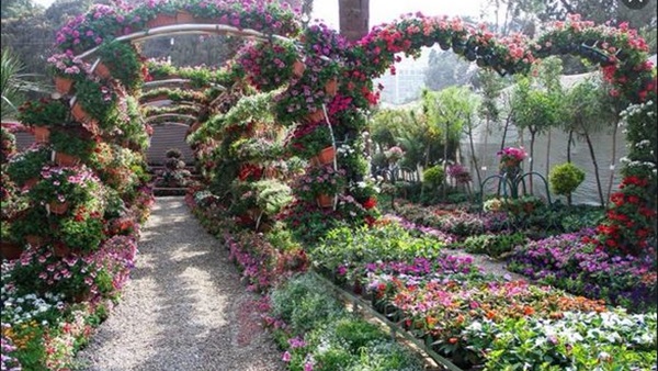 صدى العرب