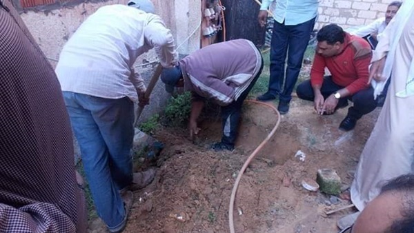 صدى العرب