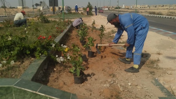 صدى العرب
