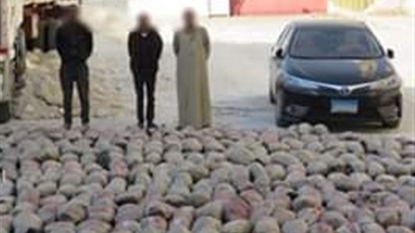 صدى العرب