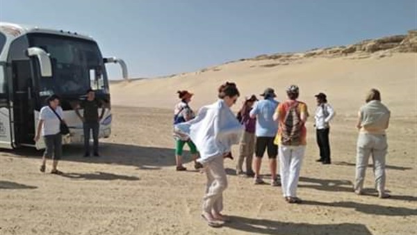 صدى العرب