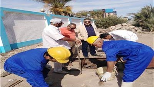 صدى العرب