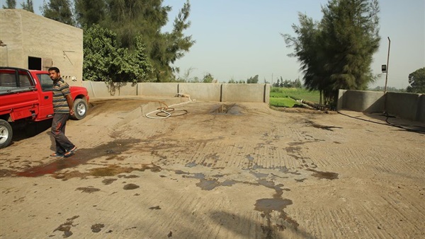 صدى العرب