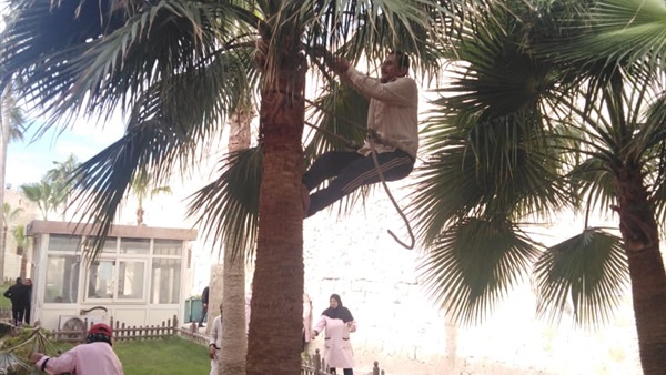 صدى العرب