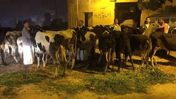 صدى العرب