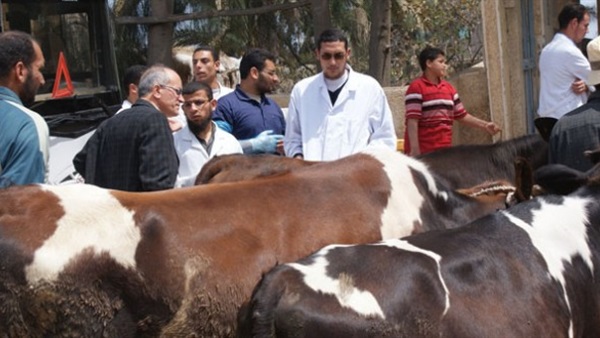 صدى العرب