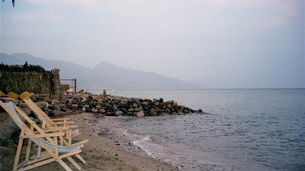 صدى العرب