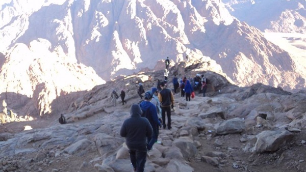 صدى العرب