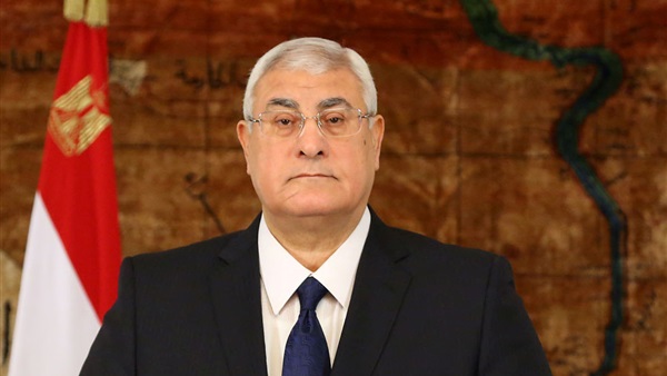 المستشار عدلي منصور