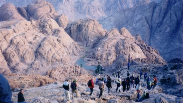 صدى العرب