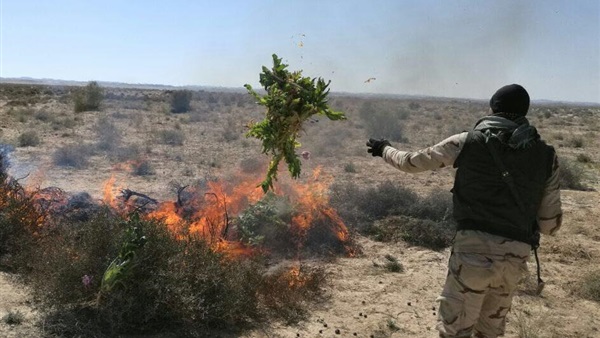 صدى العرب
