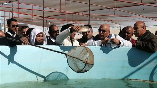 صدى العرب