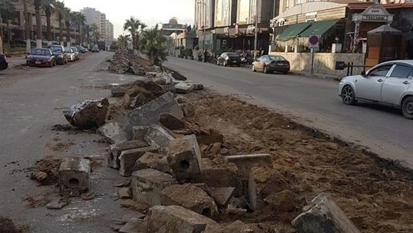 صدى العرب