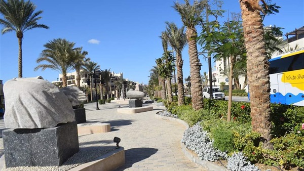 صدى العرب