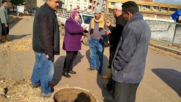 صدى العرب