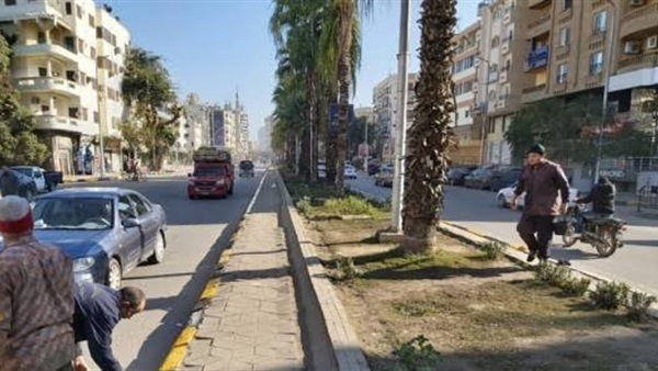 صدى العرب