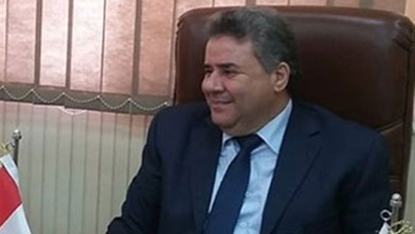 السيد يوسف القاضى