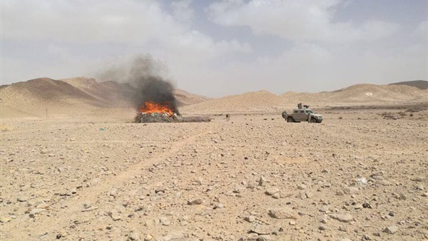 صدى العرب