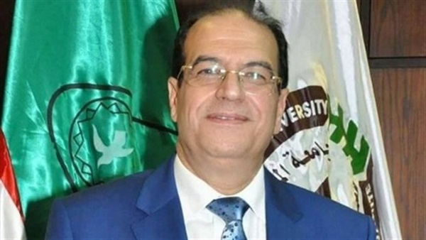 الدكتور أحمد الشعراوي