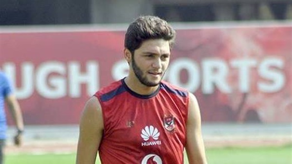 نيدفيد