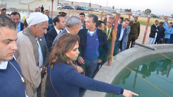 صدى العرب