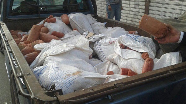 صورة أرشيفية