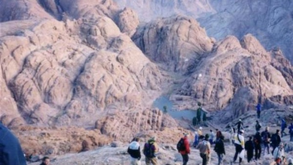 صدى العرب