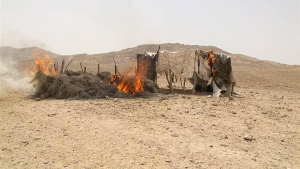 صدى العرب
