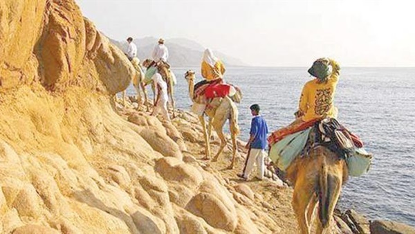 صدى العرب