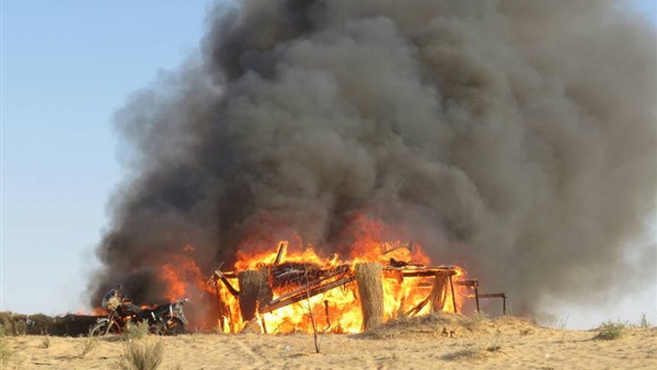 صدى العرب