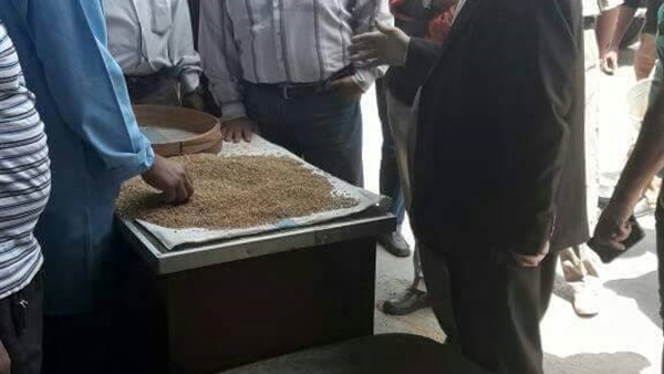 صدى العرب