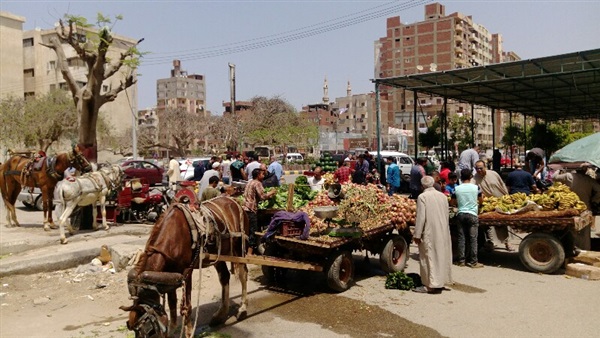 صدى العرب