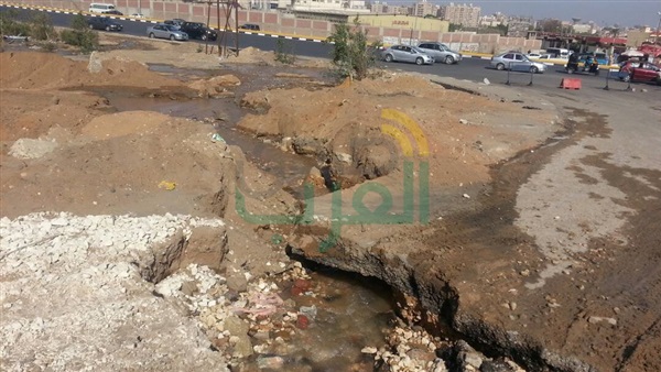 صدى العرب