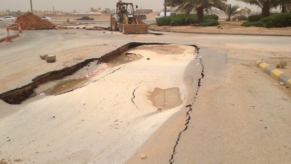 صدى العرب