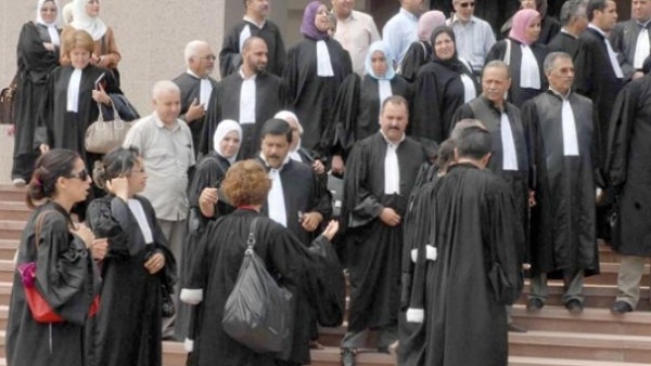 صدى العرب