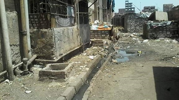 صدى العرب