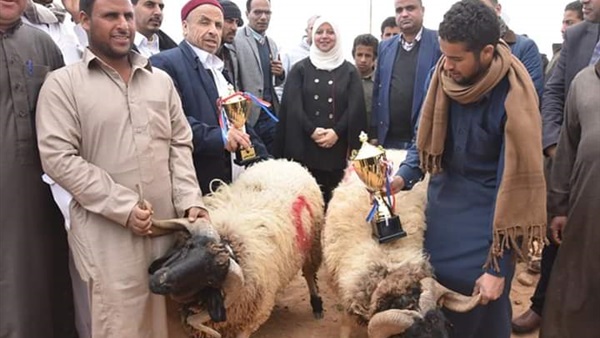 صدى العرب