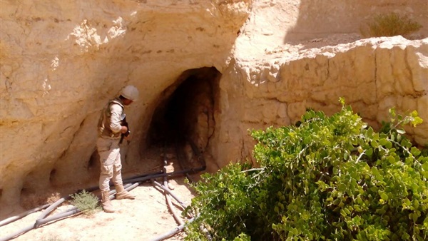 صدى العرب