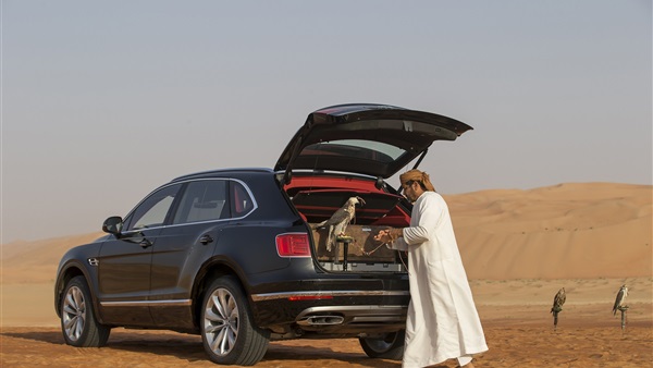 صدى العرب