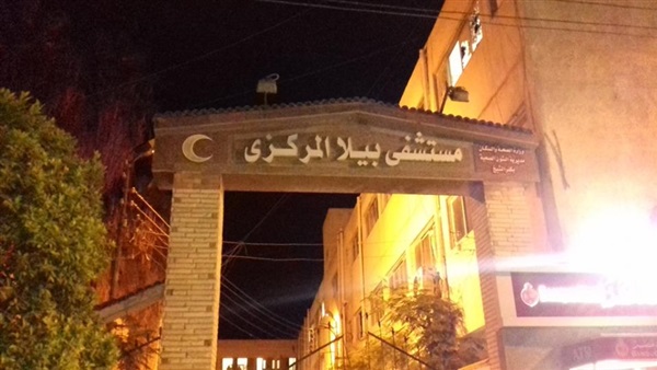 صدى العرب